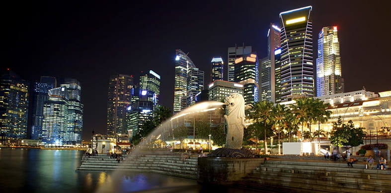 Singapour: un marché en croissance