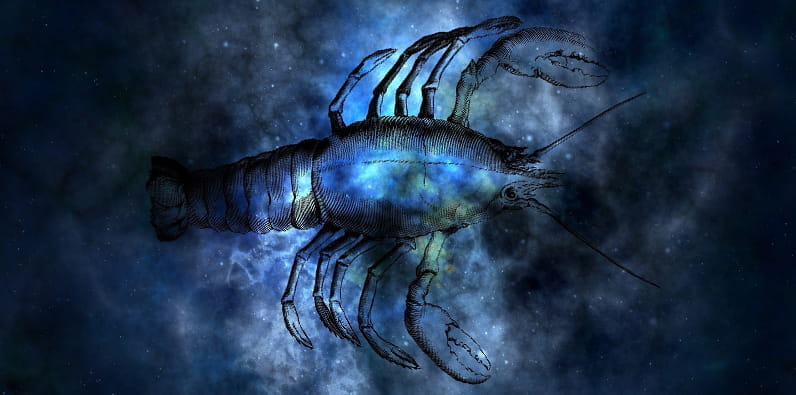 Un cangrejo en colores de cielo nocturno: azul oscuro, blanco, gris y verde