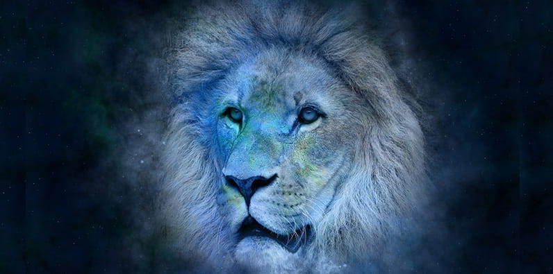 Un león dibujado con colores de un cielo nocturno