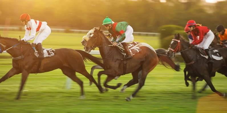 les meilleures courses de chevaux au monde