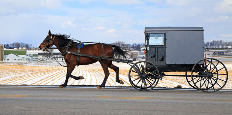 Une calèche tirée par des chevaux dans la campagne de Lancaster, en Pennsylvanie