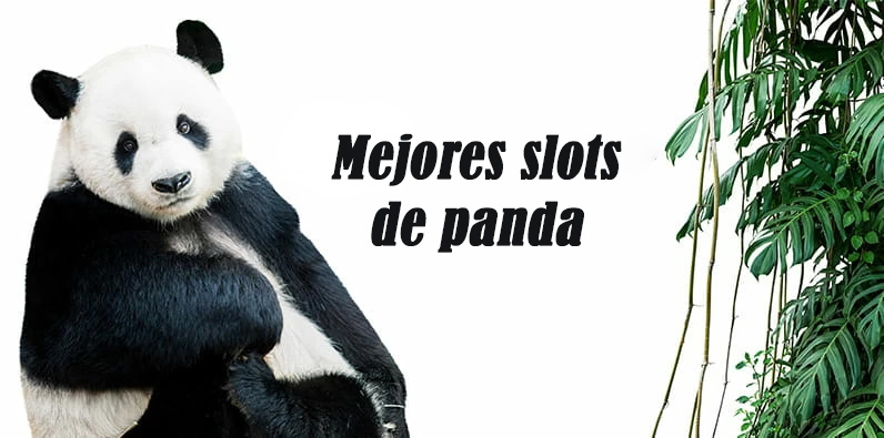 Ours panda assis et les mots "Meilleures machines à sous panda"