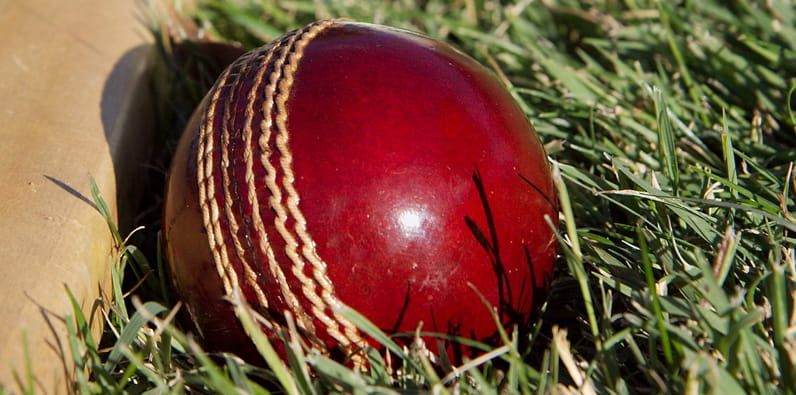 Una pelota de críquet roja en el césped